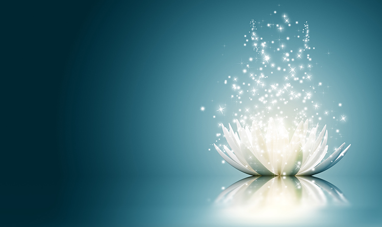 Meditation Workshop